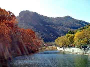 天天彩好彩天天免费，深圳eva地垫